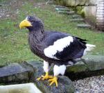 Libereck� ZOO 