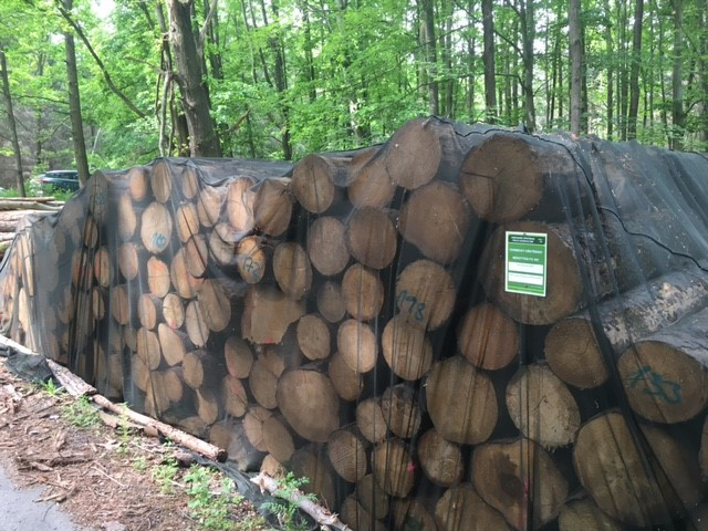 detail obr�zku